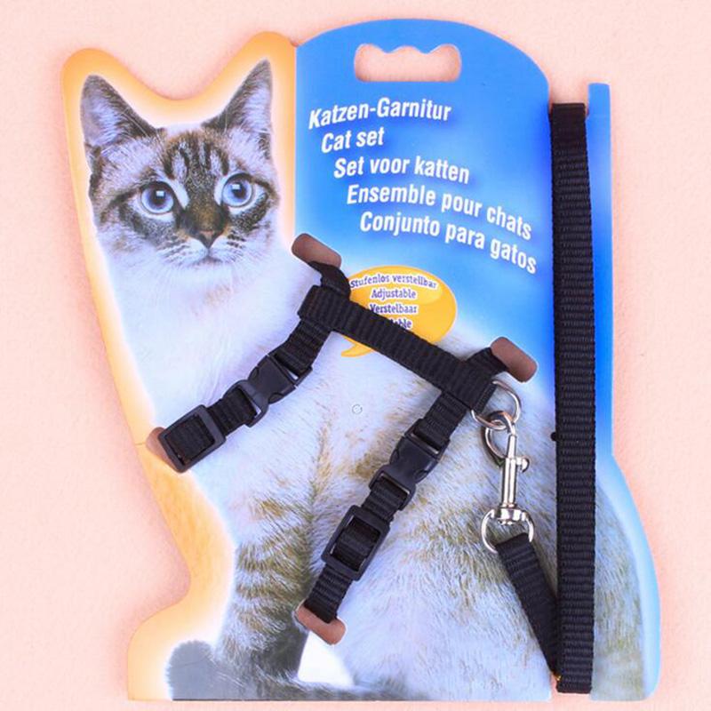 Cat Harness