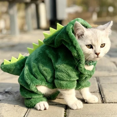 Dinosaur Pet Costume