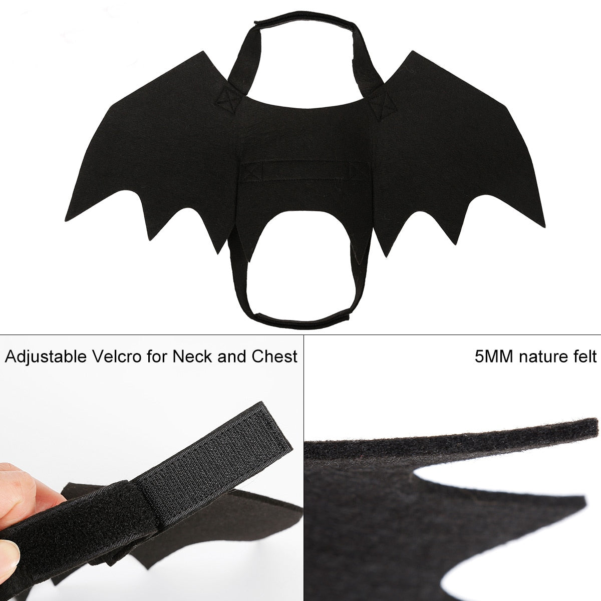 Pet Bat Wings