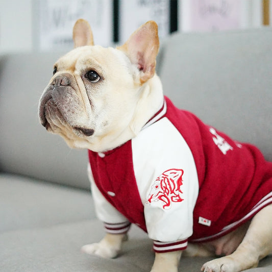 Pet baseball jacket