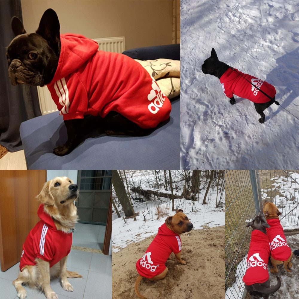 Adidog hoody