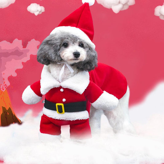 Santa pup costume