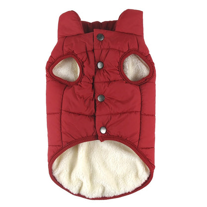 Winter pet coat