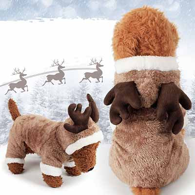 Pet animal hoody costume
