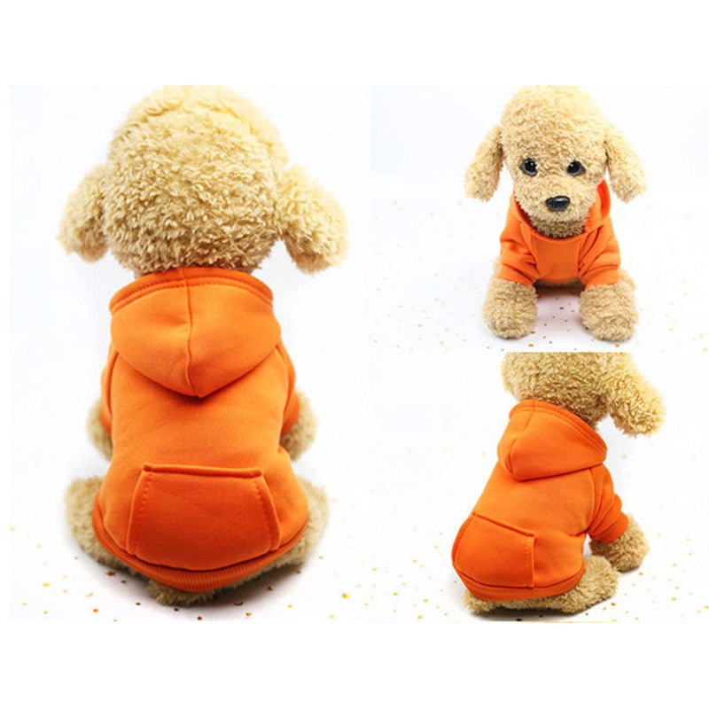 Pet hoody