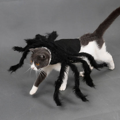 Pet spider costume