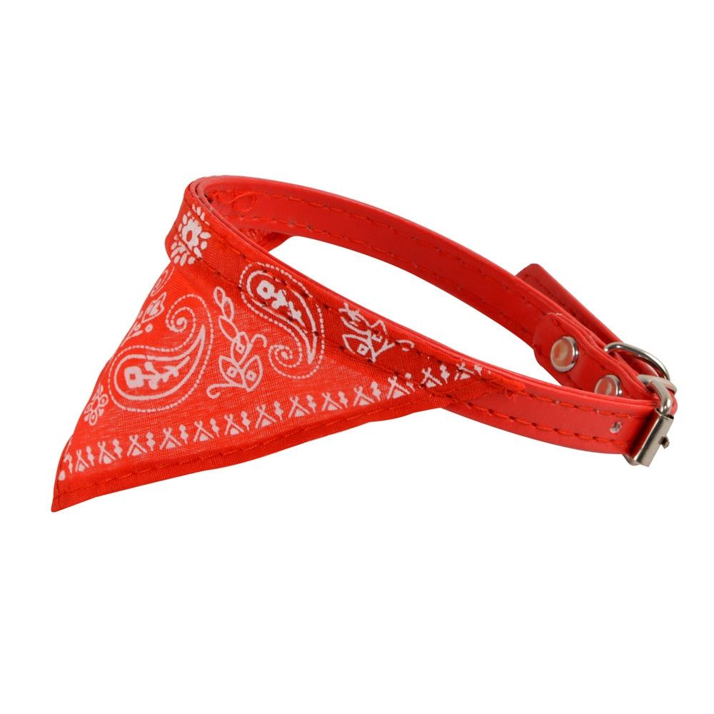 Bandana Collar