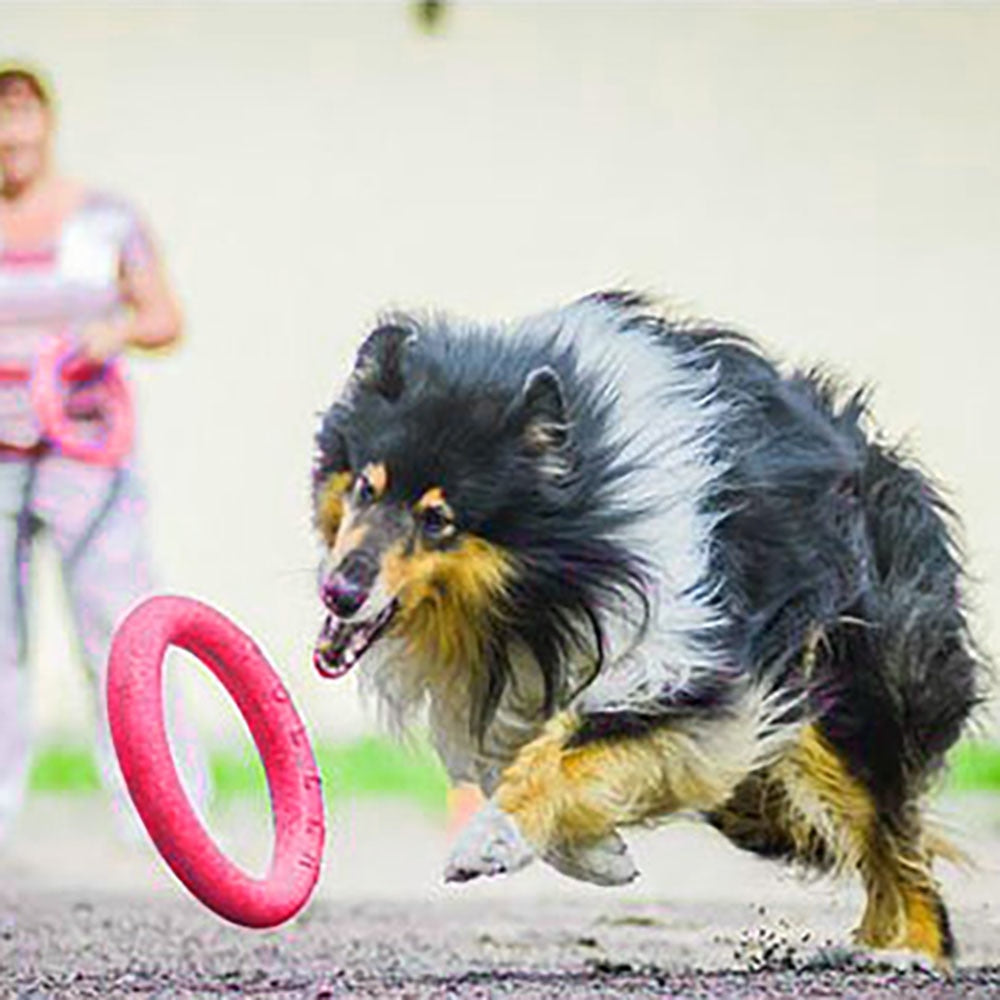 Dog Flying Discs