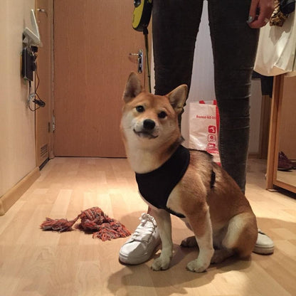 Soft Breathable Dog Harness