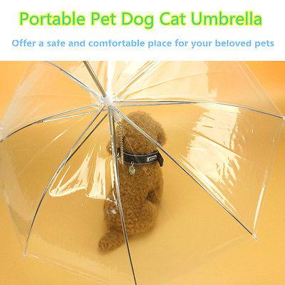 Transparent Pet Umbrella Leash