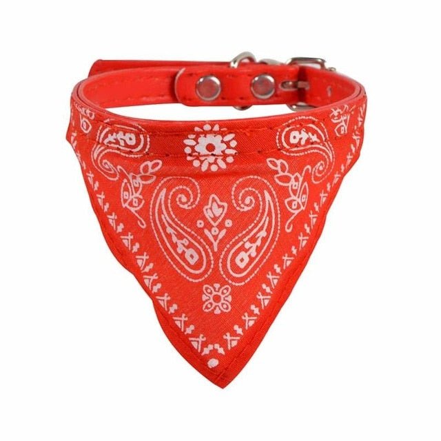 Bandana Collar