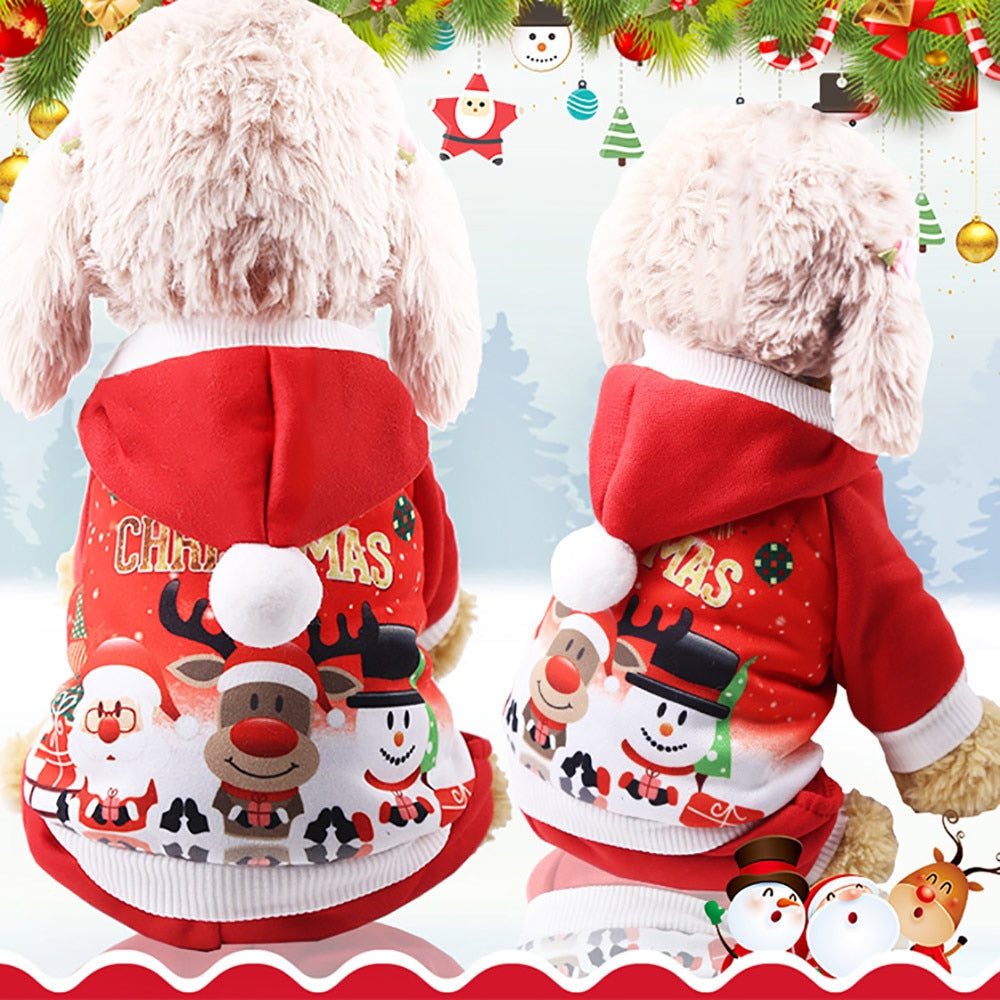 Xmas Pet hoody