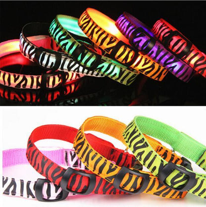 Zebra LED collar