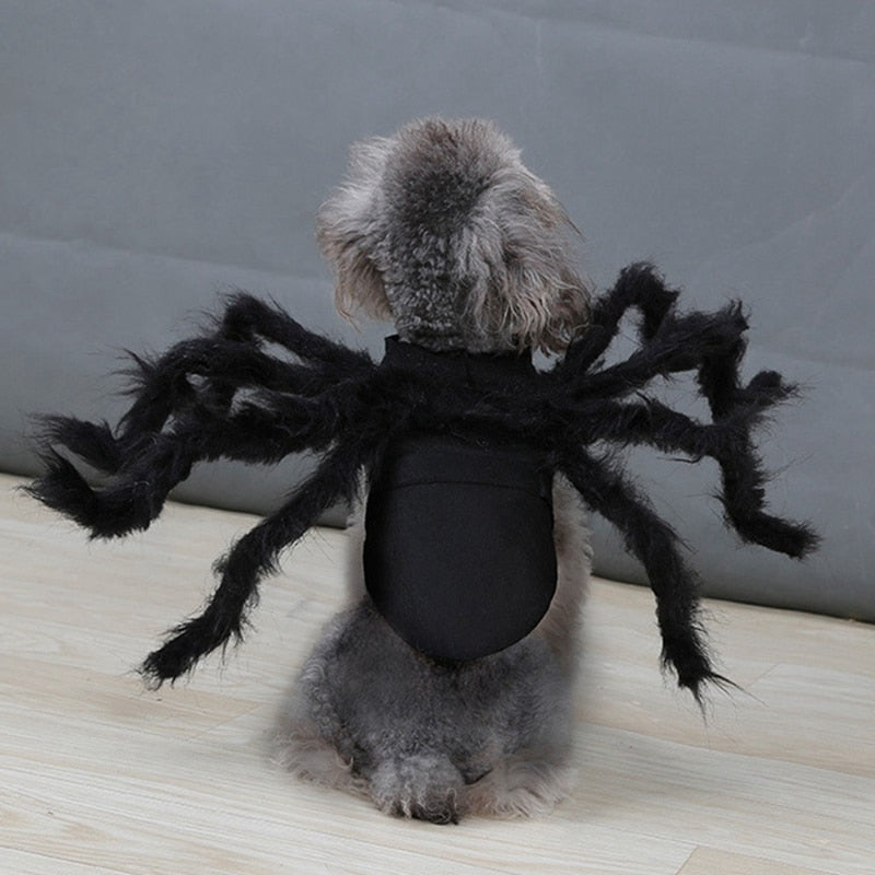 Pet spider costume