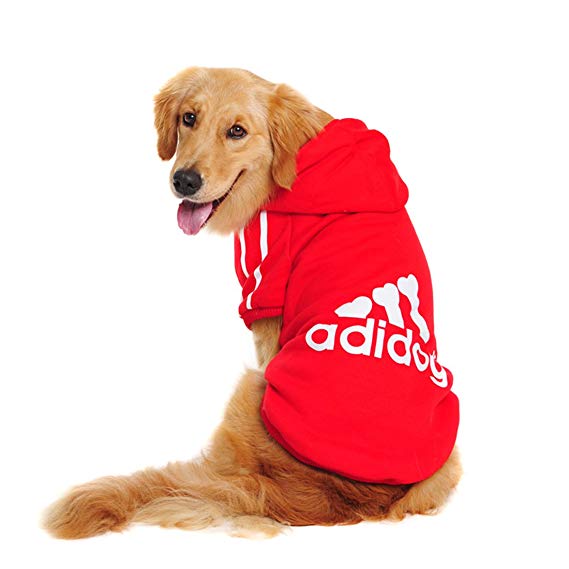 Adidog hoody