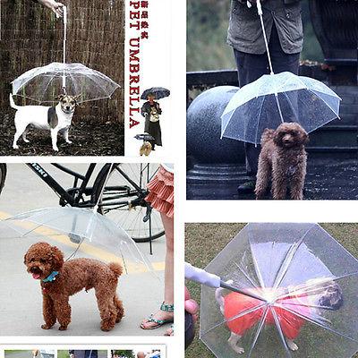 Transparent Pet Umbrella Leash