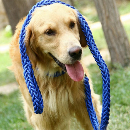 Strong Braided Dog Leash