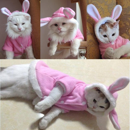 Pet bunny Hoodie