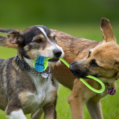 Dog Rope Toy