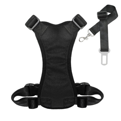 Dog Seatbelt + free harness