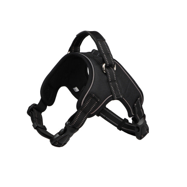 Dog Harness