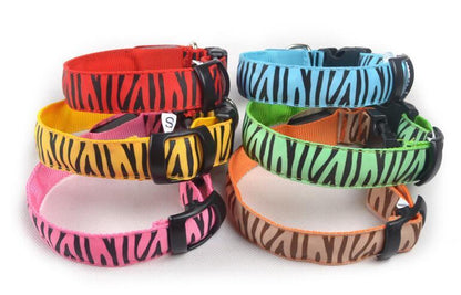 Zebra LED collar