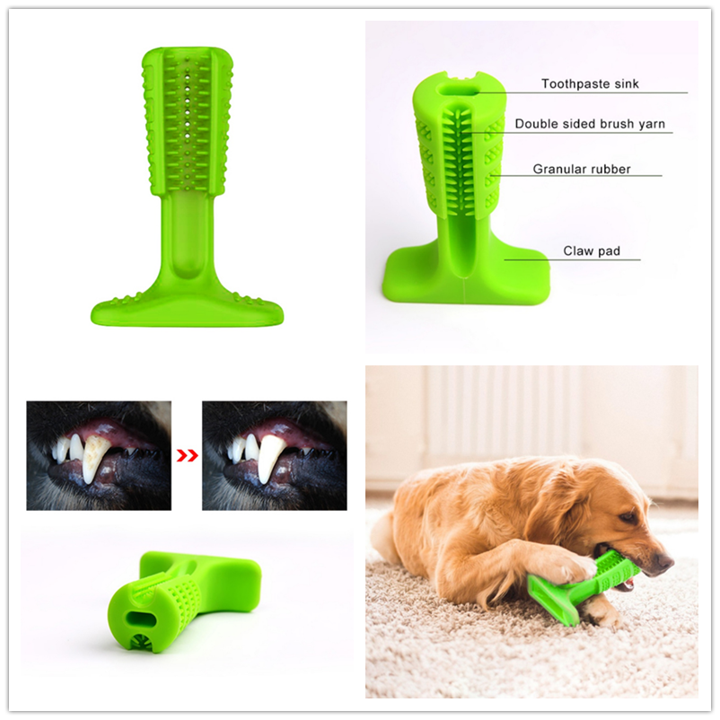 Dental Dog Toy