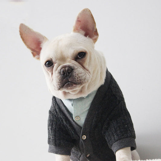 Pet cardigan