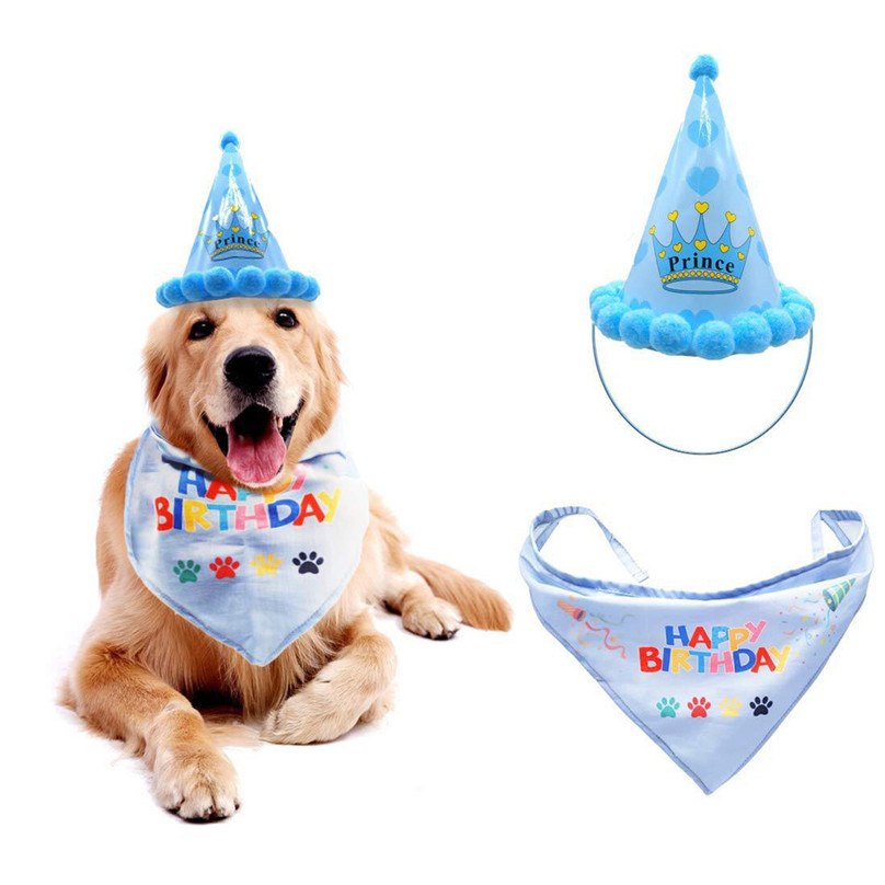 Pet Birthday Costume