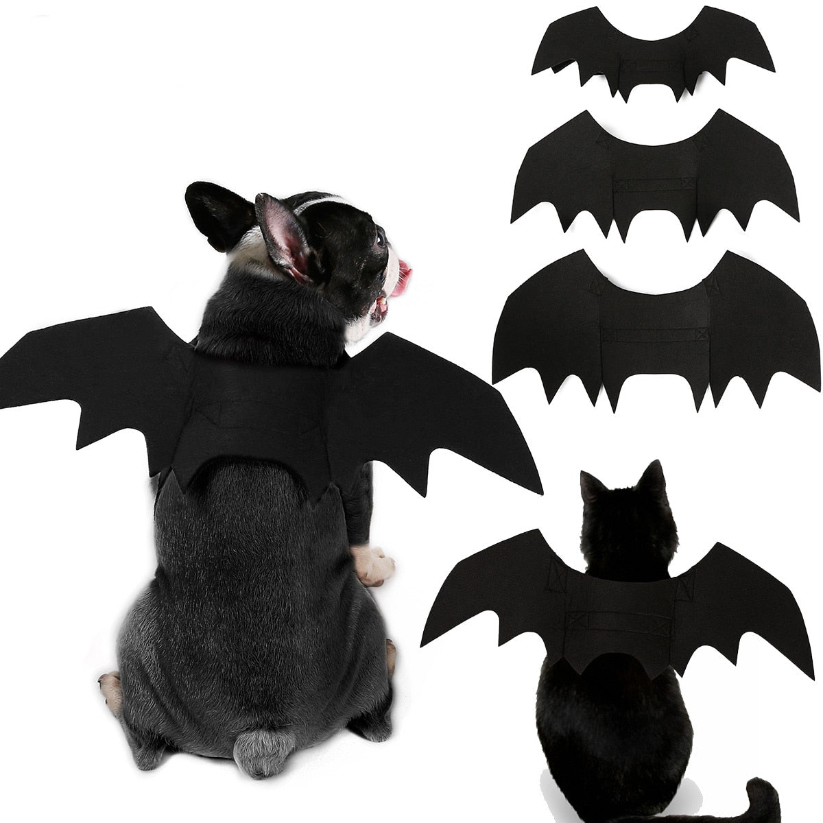 Pet Bat Wings