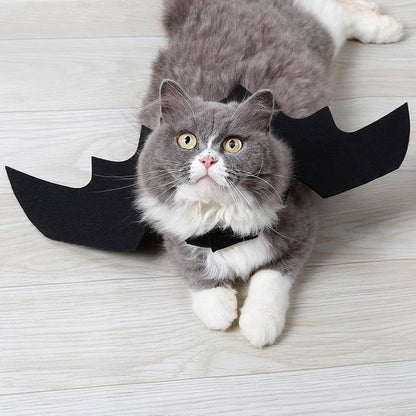 Halloween cat bat wings