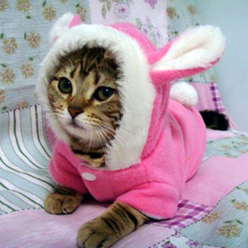 Pet bunny Hoodie