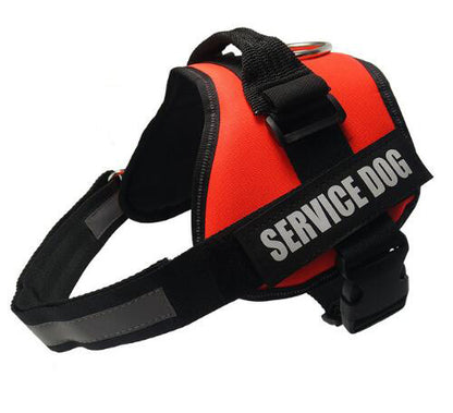 Service dog harness