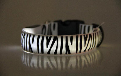 Zebra LED collar