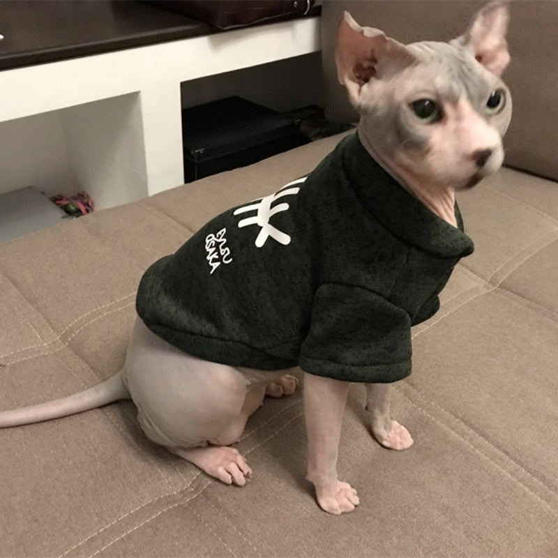Pet jumper
