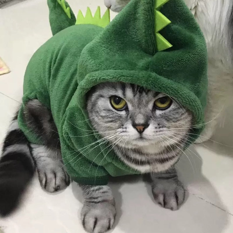 Dinosaur Pet Costume