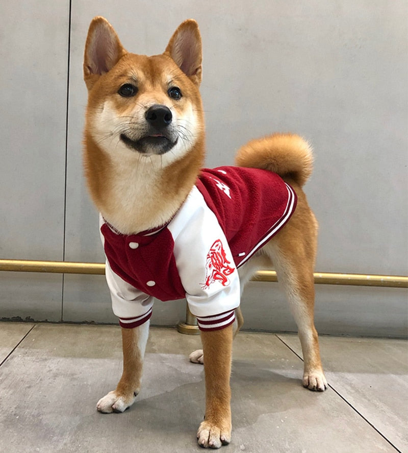 Pet baseball jacket