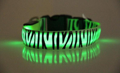 Zebra LED collar