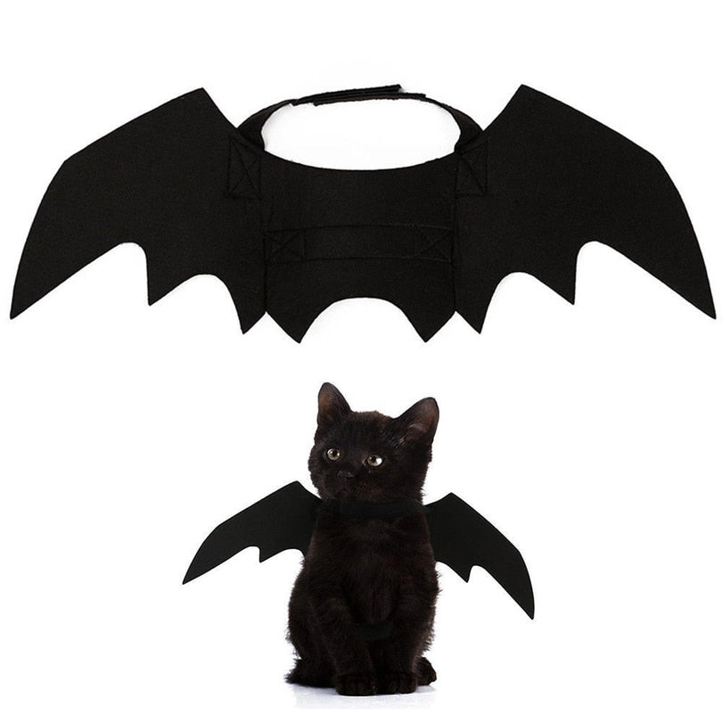 Halloween cat bat wings