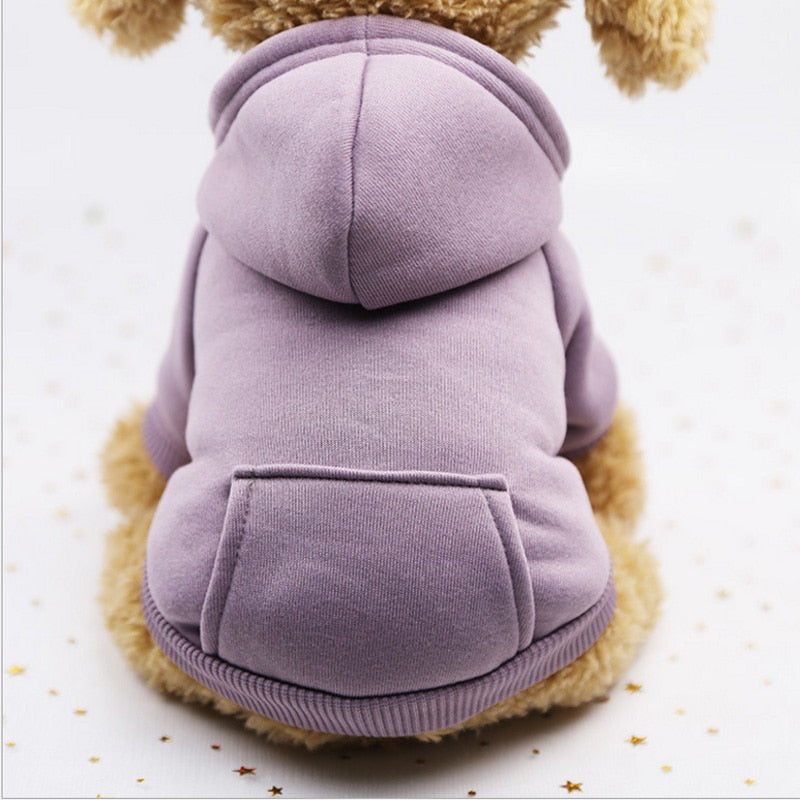 Pet hoody