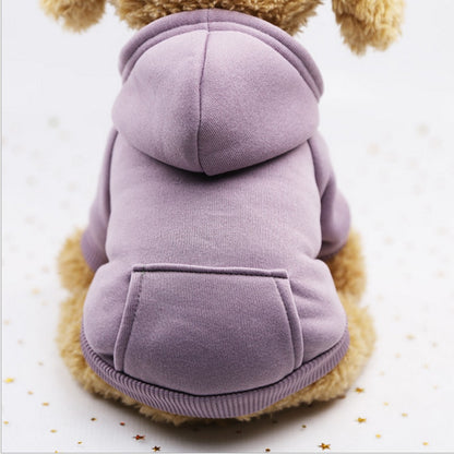 Pet hoody
