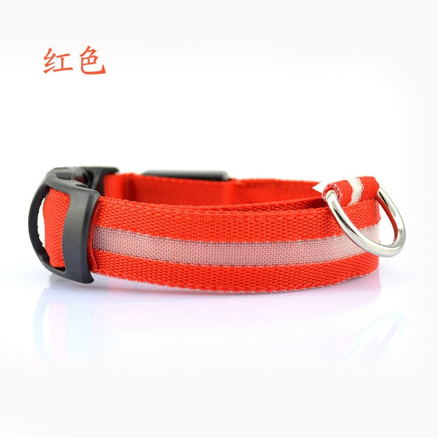 LED Pet Collar