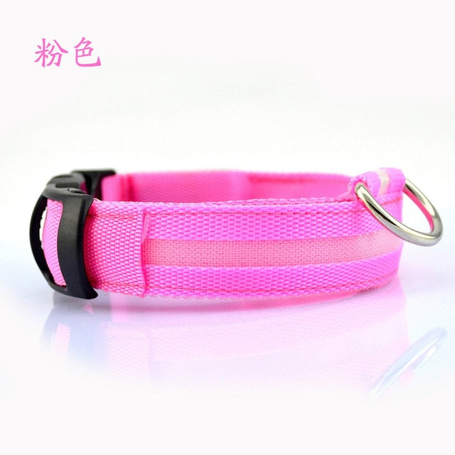 LED Pet Collar