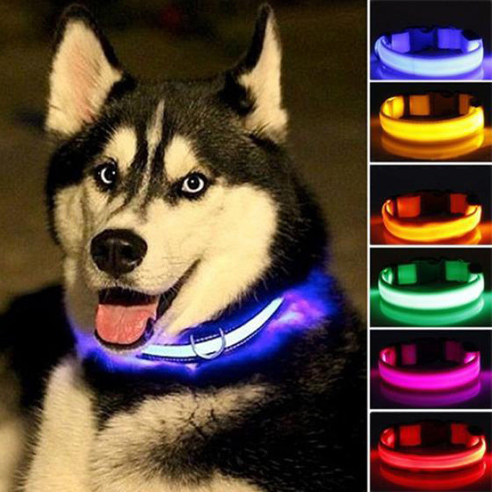 LED Pet Collar