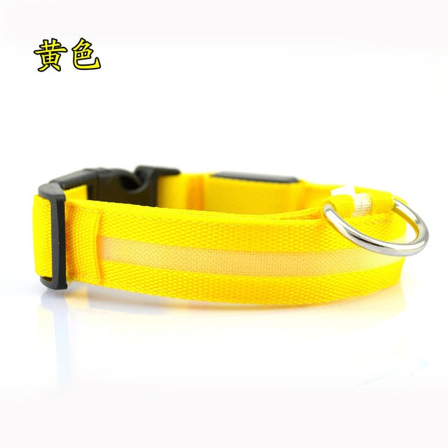 LED Pet Collar