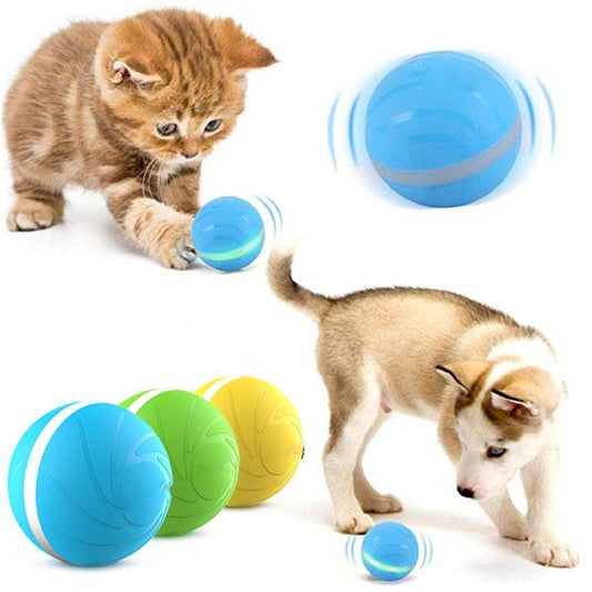 Smart Pet Toy Ball