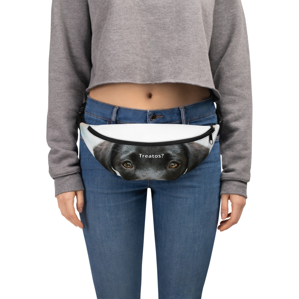 Treato Fanny Pack