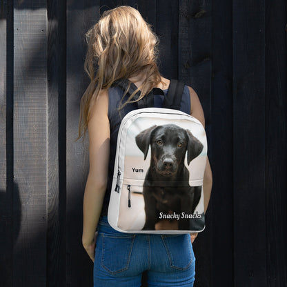 Lab Backpack