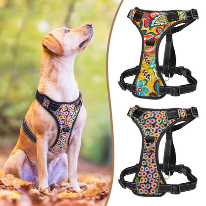 Quick Control Dog Harness With Lift Handle