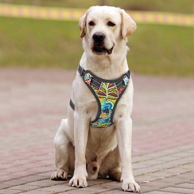 Quick Control Dog Harness With Lift Handle